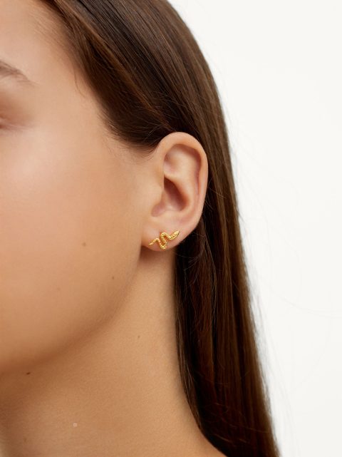 Parfois 925 Silver Studs With Snake Øreringe Dame Guld | DK-24YCBPJUI